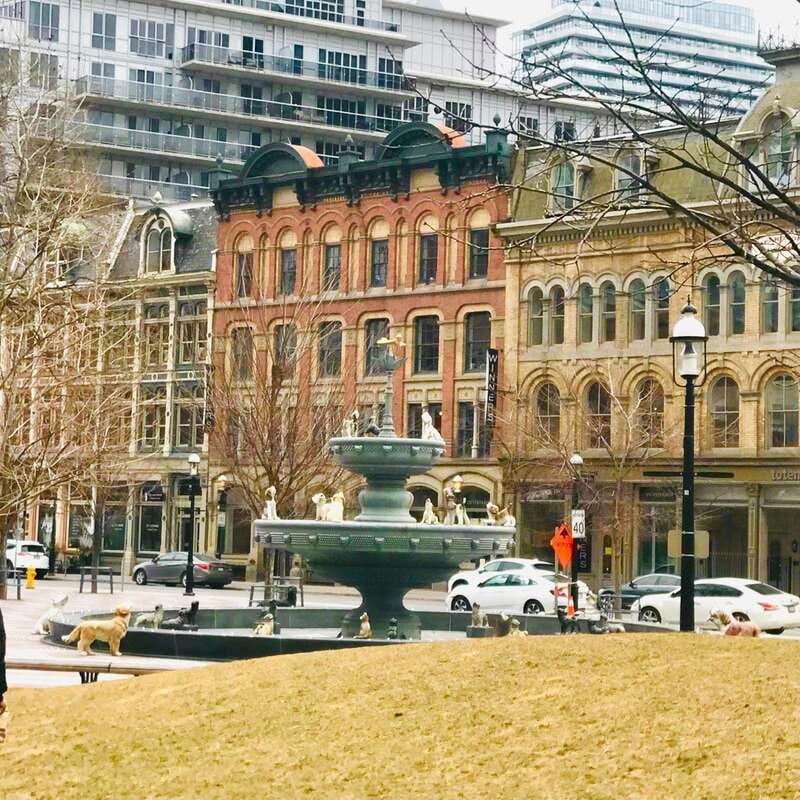 Toronto: City Walking Tour - Finishing at St. Lawrence Market
