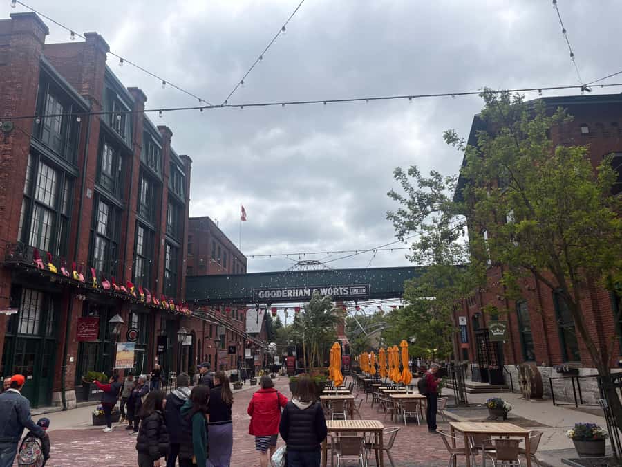 Toronto: Great White North Food Tour - Practical details for a smoother afternoon