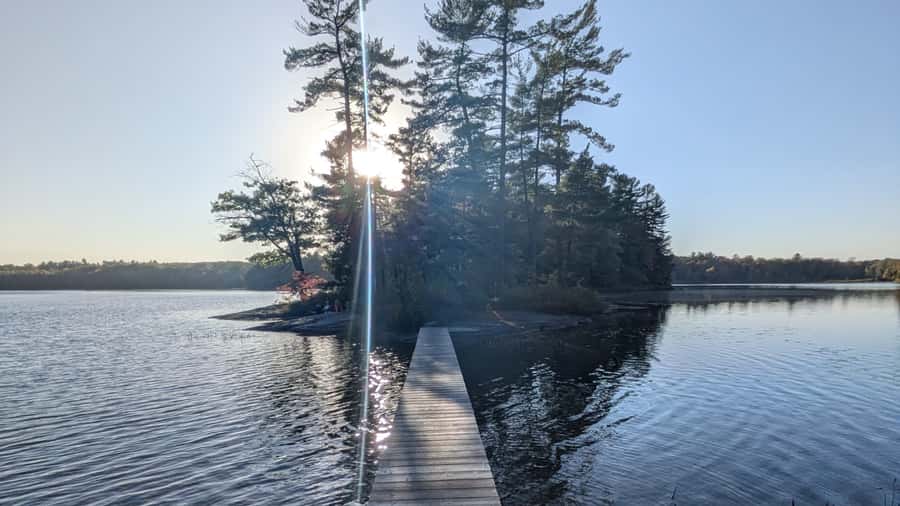 Toronto: Muskoka Cranberry Farm and Hardy Lake Hike - Why the cranberry marsh is the day’s signature moment
