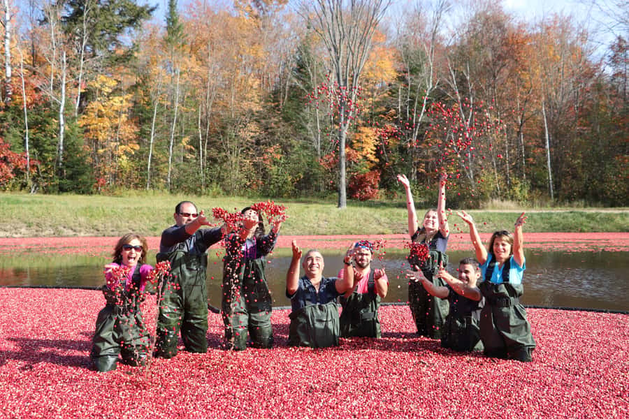 Toronto: Muskoka Cranberry Farm and Hardy Lake Hike - How the day’s timing works