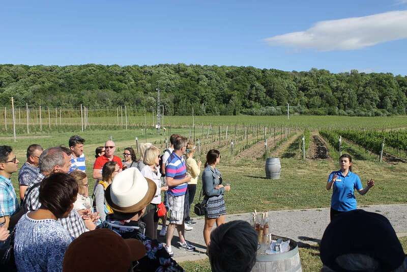 Toronto: Niagara Falls Day Tour with Boat Option - Niagara-on-the-Lake in one hour