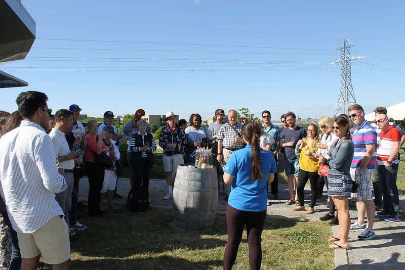 Toronto: Niagara Falls Day Tour with Boat Option - Wine tasting and Niagara ice wine