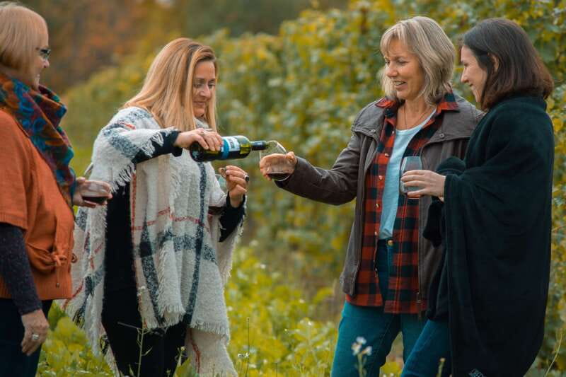 Toronto: Niagara Wineries Tasting Tour & Optional Lunch - The countryside between Toronto and Niagara-on-the-Lake