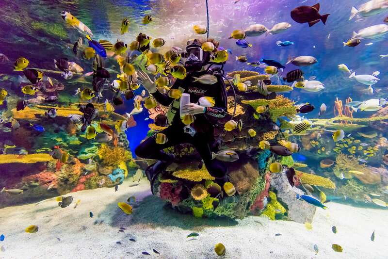 Toronto: Ripley's Aquarium of Canada Entry Ticket - Where the experience falls short