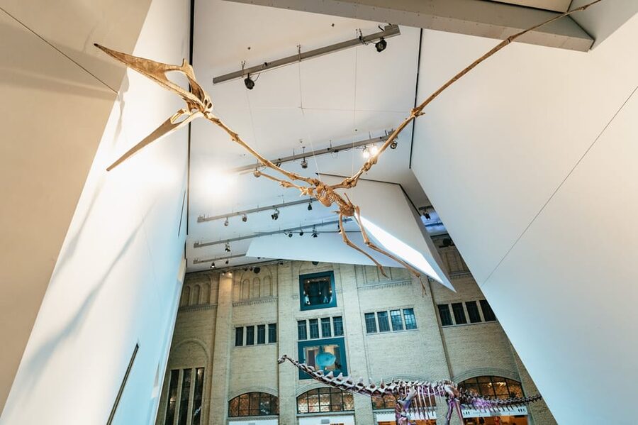 Toronto: Royal Ontario Museum Admission Ticket - Make Time for First Peoples Collections