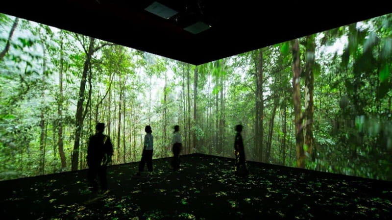 Toronto: Royal Ontario Museum Special Exhibits Voucher - Key points to know before you go