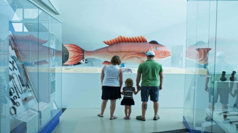 Toronto: Royal Ontario Museum Special Exhibits Voucher - Why the ROM works for a full day in Toronto