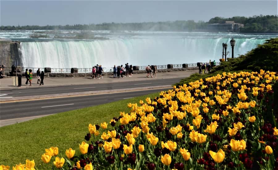 Toronto: Small-Group Niagara Falls Day Trip - Seeing Niagara Falls from the Canadian side
