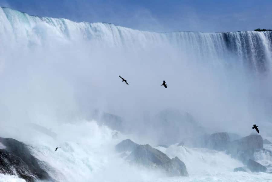 Toronto: Small-Group Niagara Falls Day Trip - Choosing the winter alternative