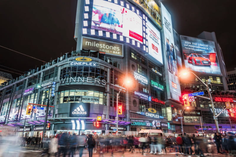 Toronto: Small Group Night Tour with Harbour Boat Cruise - What the guide adds to the evening