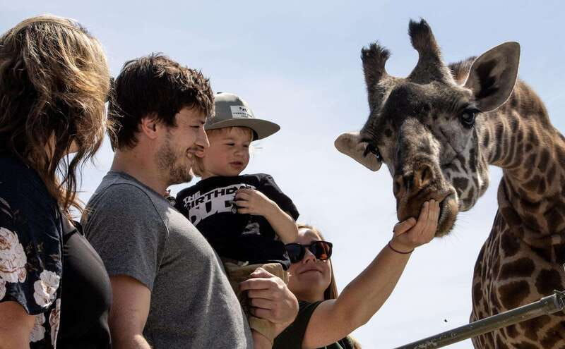 Toronto: Toronto Zoo Entry Ticket - Key points at a glance