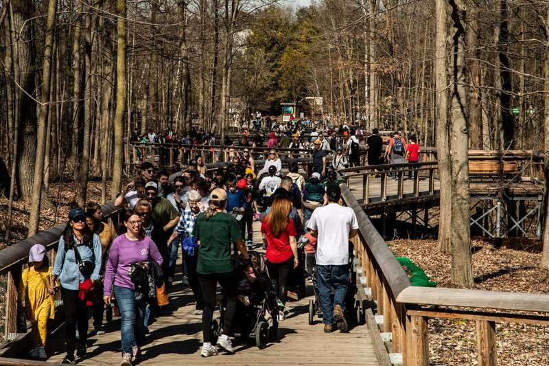 Toronto: Toronto Zoo Entry Ticket - Toronto Zoo is a full-day commitment