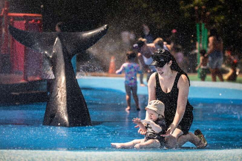 Toronto: Toronto Zoo Entry Ticket - Indoor pavilions help, but outdoor walking still dominates