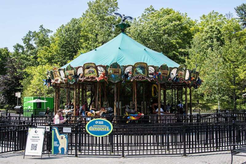 Toronto: Toronto Zoo Entry Ticket - Should you book Toronto Zoo?