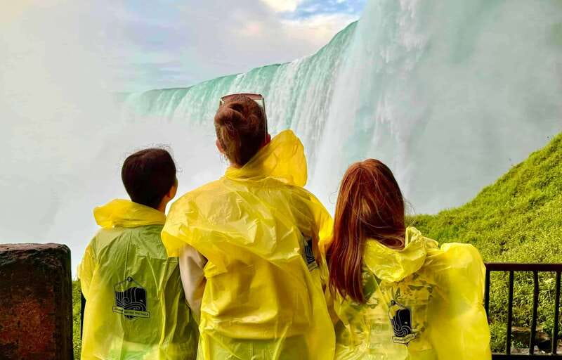 Toronto: Winter Niagara Falls Tour with Attractions Package - Key points at a glance