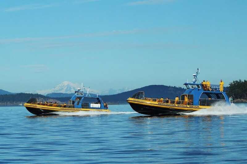 Vancouver, BC: Whale Watching Tour with Guide - FAQ