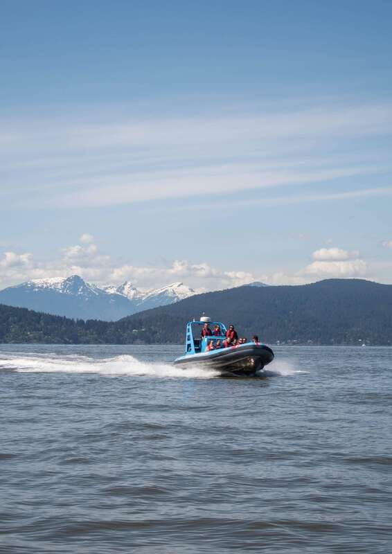 Vancouver: Boat to Bowen Island on UNESCO Howe Sound Fjord - The Zodiac ride makes the wildlife feel close
