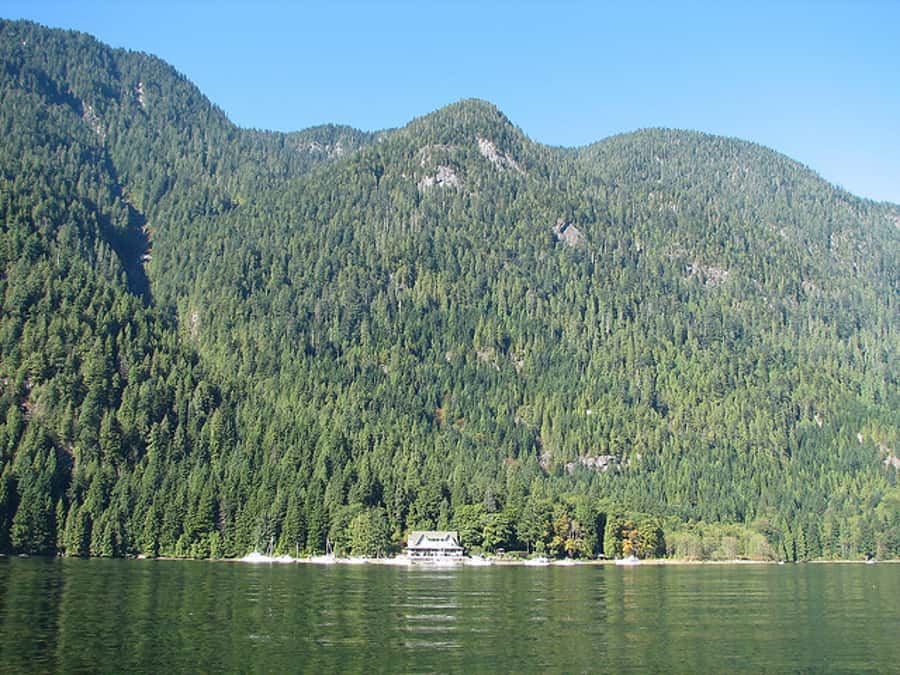 Vancouver Brunch Cruise - Key points to know before booking