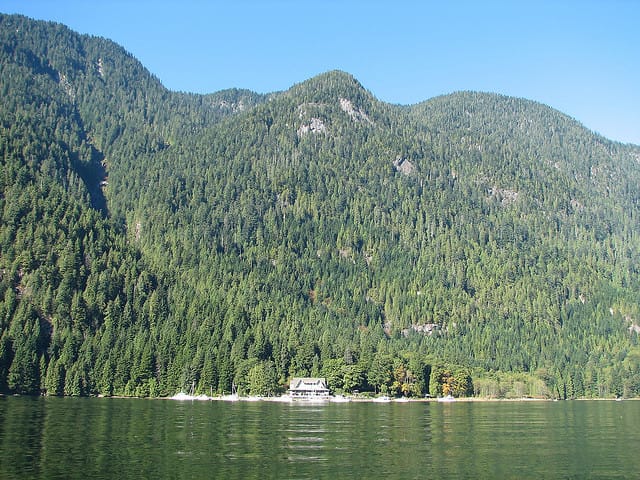 Vancouver Brunch Cruise - Indian Arm and the chance of Silver Falls