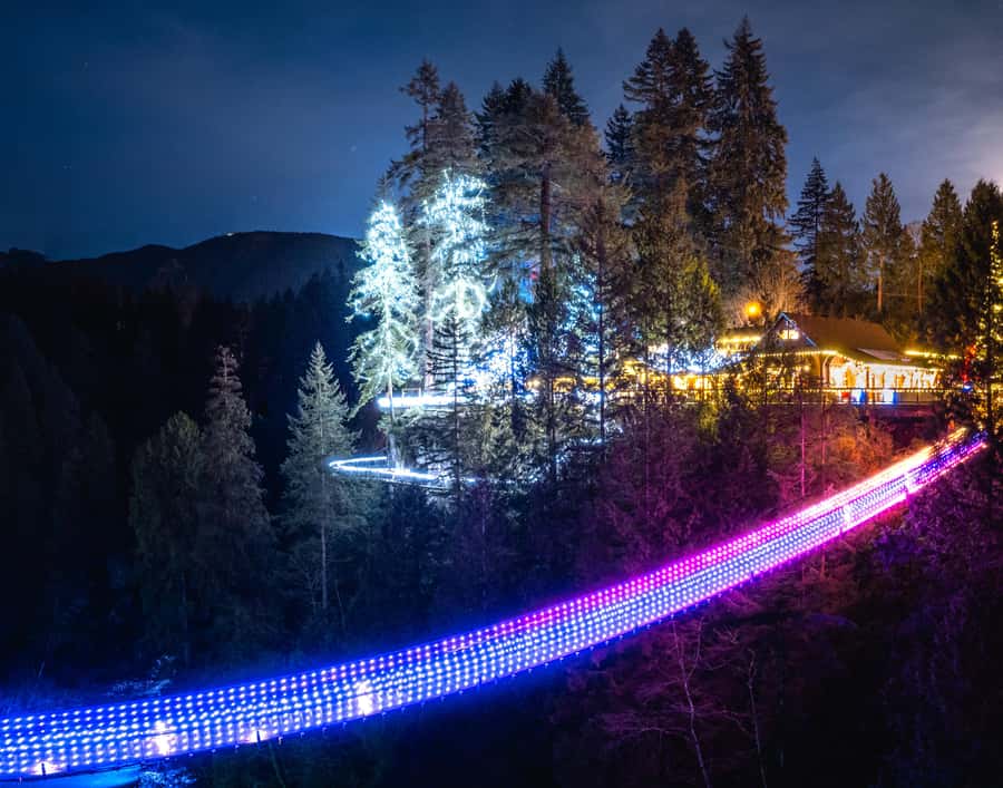 Vancouver: Capilano Bridge, Cleveland Dam & Lynn Canyon Tour - Key points to know before booking