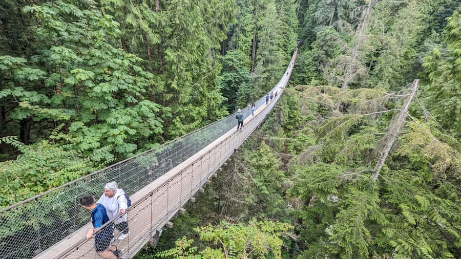 Vancouver: Capilano Bridge, Cleveland Dam & Lynn Canyon Tour - Why this North Shore route works so well