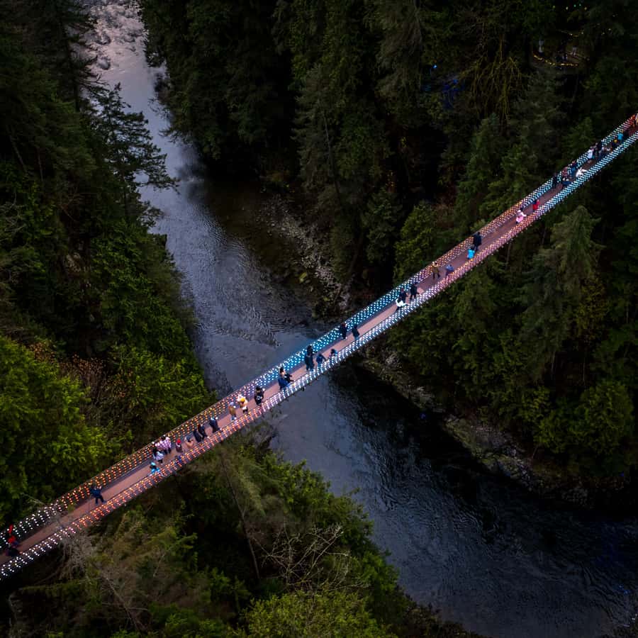 Vancouver: Capilano Bridge, Cleveland Dam & Lynn Canyon Tour - Capilano Suspension Bridge Park and its 137-metre crossing