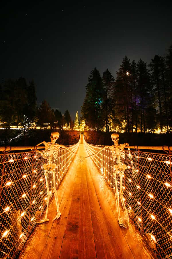 Vancouver: Capilano Bridge, Cleveland Dam & Lynn Canyon Tour - Capilano rainforest and the base of Cleveland Dam