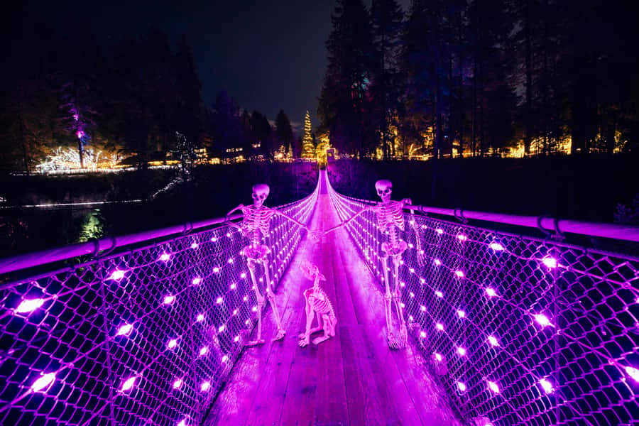 Vancouver: Capilano Bridge, Cleveland Dam & Lynn Canyon Tour - How the timing and transport affect your day