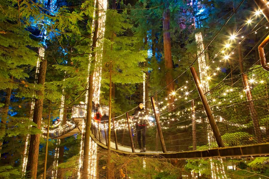 Vancouver: Capilano Bridge, Cleveland Dam & Lynn Canyon Tour - Is $136 a fair price?