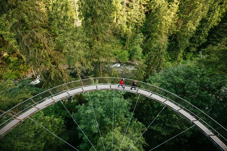 Vancouver: Capilano Bridge, Cleveland Dam & Lynn Canyon Tour - Lynn Canyon, where the forest feels most natural