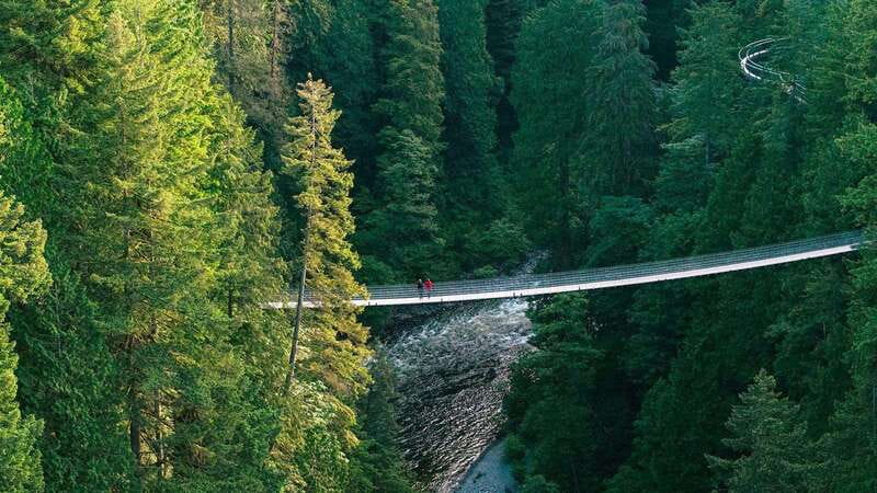 Vancouver: Capilano Suspension Bridge Park Ticket - Key points at a glance