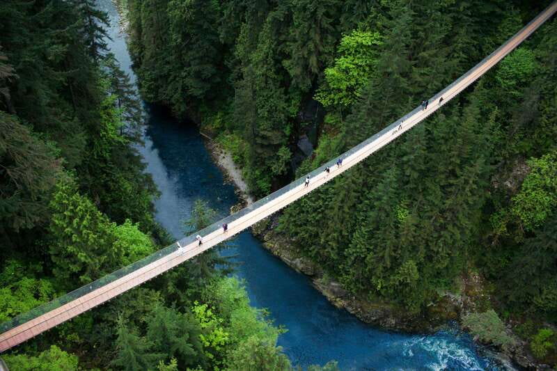 Vancouver: Capilano Suspension Bridge Park Ticket - Cliffwalk: A Narrow Route Along the Canyon