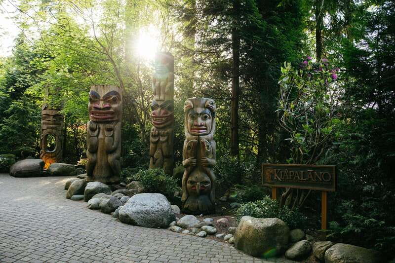 Vancouver: Capilano Suspension Bridge Park Ticket - Treetops Adventure Among the Coastal Forest
