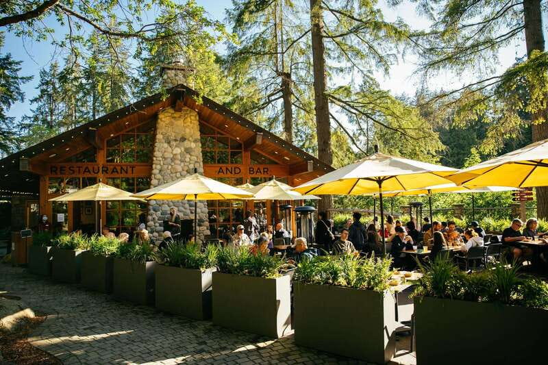 Vancouver: Capilano Suspension Bridge Park Ticket - Rain, Seasonal Lights, and the Best Time to Go