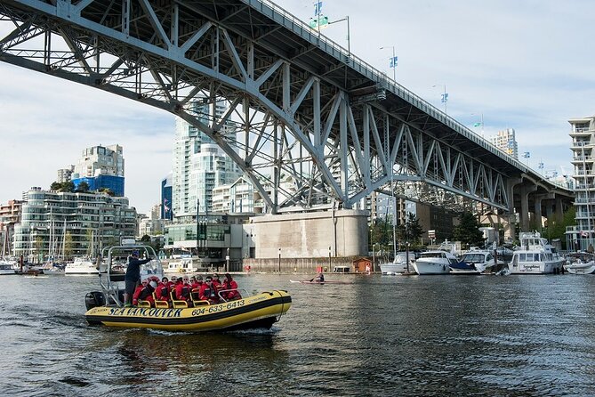 Vancouver City and Nature Waterfront Sightseeing Boat Tour - Seal Rocks and the wildlife question