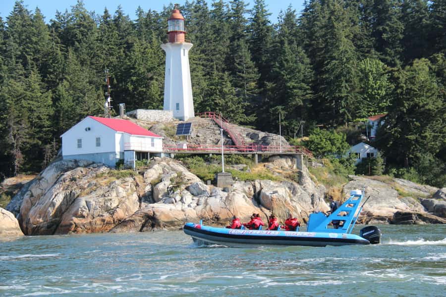 Vancouver: City and Seal Boat Tour - Stanley Park and English Bay from offshore