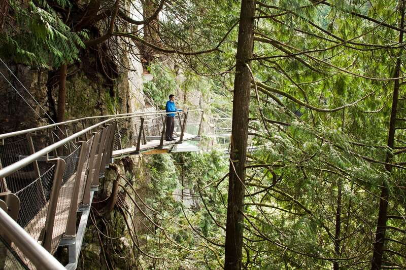 Vancouver: City+Lookout+Capilano Suspension Bridge Ticket - A full day that links city streets with coastal forest