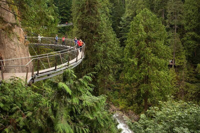 Vancouver: City+Lookout+Capilano Suspension Bridge Ticket - Who should book this Vancouver day tour?