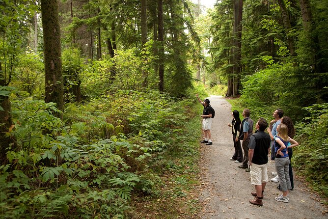 Vancouver City & Lookout Tour and Option to Add Airport Drop Off - Granville Island’s 20-minute or longer food break