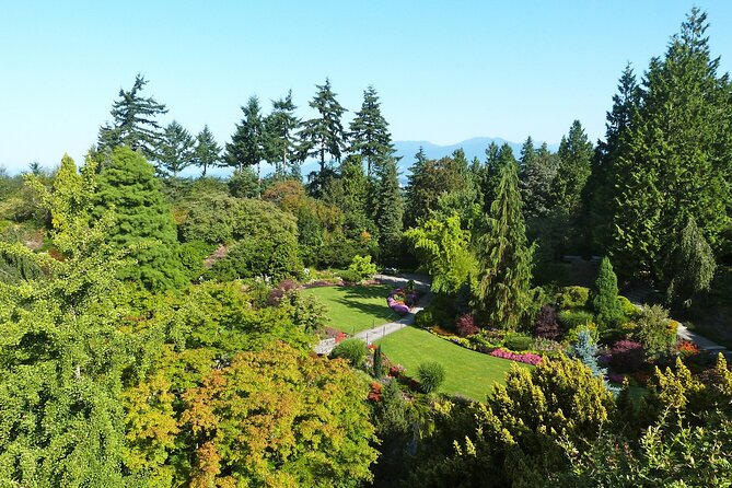 Vancouver City Tour with Admission to Lookout Tower - Vancouver Lookout: the tour’s high point