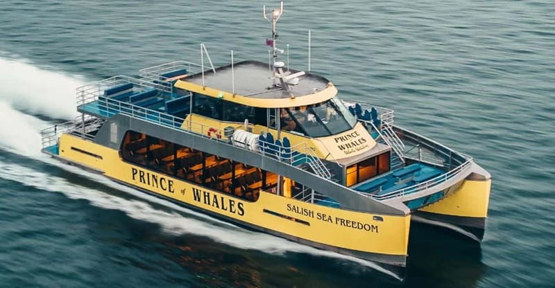 Vancouver: Covered Whale Watching Adventure with Free Photos - Who should book this cruise?