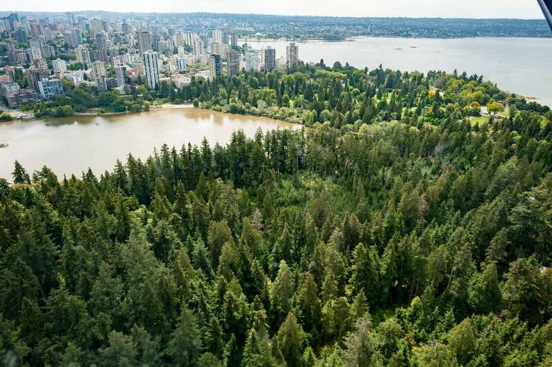 Vancouver: Extended Scenic Panorama Seaplane Tour - What the plane feels like inside