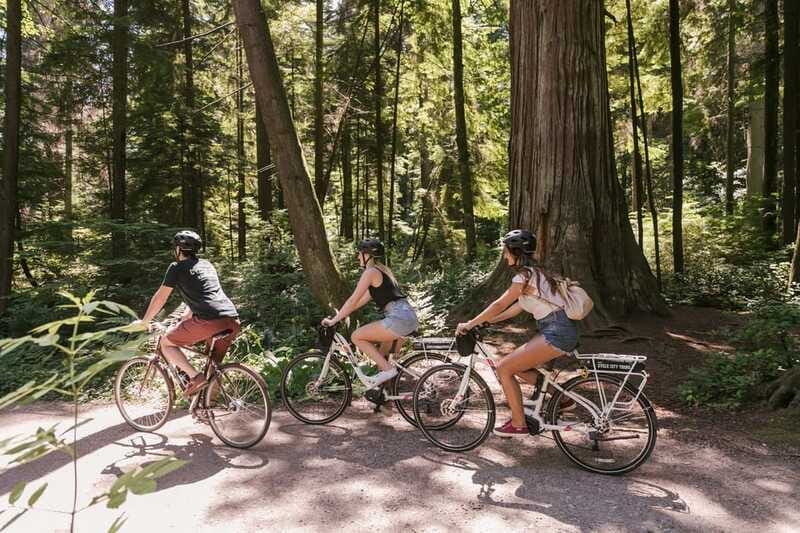 Vancouver: Half-Day City Highlights E-Bike Tour Age 16+ - What the four hours feel like