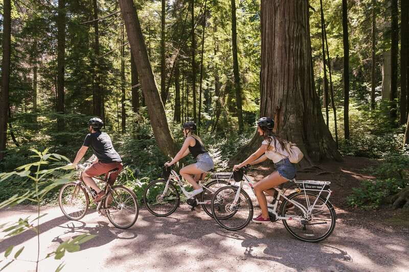 Vancouver: Half-Day City Highlights E-Bike Tour Age 16+ - The Seawall and Prospect Point