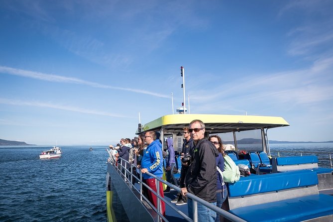 Vancouver Half-Day Whale Watching Adventure with Free Photos - Is the $193.58 price good value?