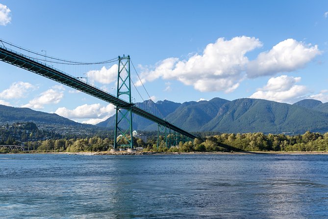 Vancouver Half-Day Whale Watching Adventure with Free Photos - What you may see beyond whales