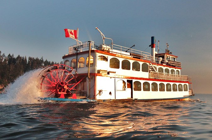 Vancouver Harbor Sightseeing Cruise - Choosing your seat and finding the best view