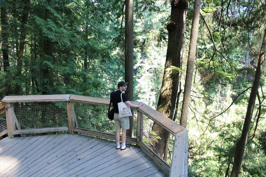 Vancouver Highlights: Capilano Bridge & Granville Island - Stanley Park and the road to Lions Gate Bridge
