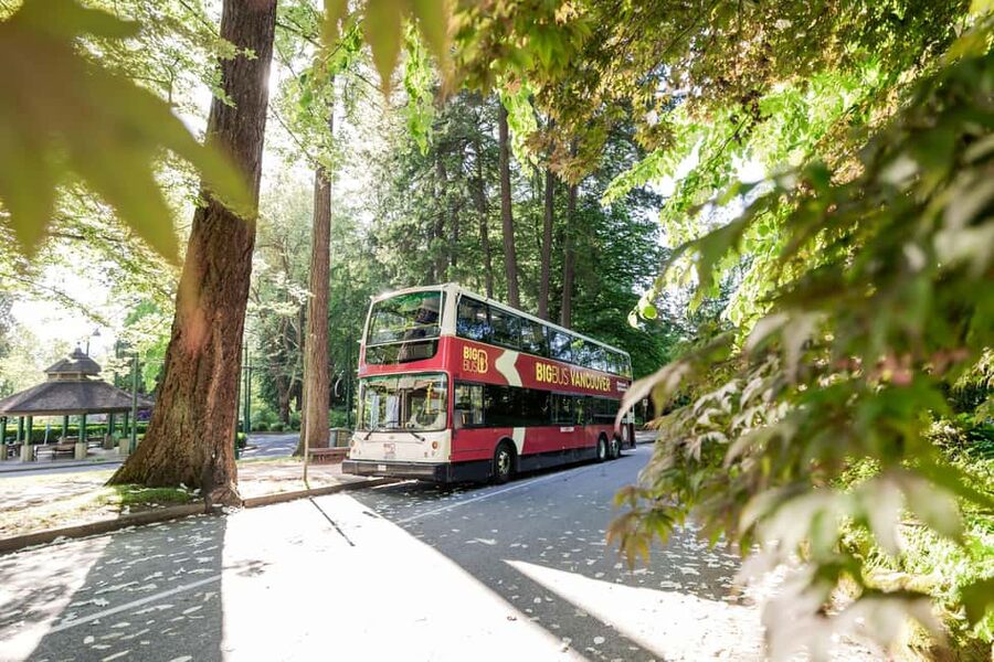 Vancouver: Hop-on Hop-off Sightseeing Tour with 10 Stops - Chinatown and Gastown bring the history closer