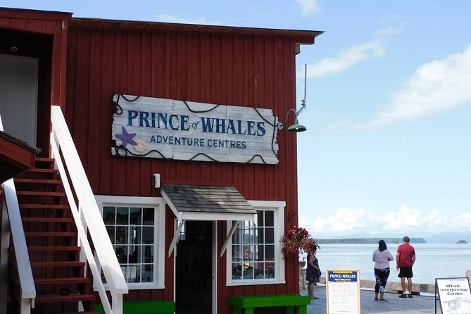 Vancouver Island Half-Day Whale Watching Tour - Telegraph Cove - Wildlife photography without missing the moment